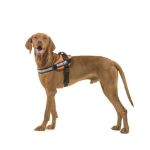 Julius-K9 IDC dog harness size 1/L