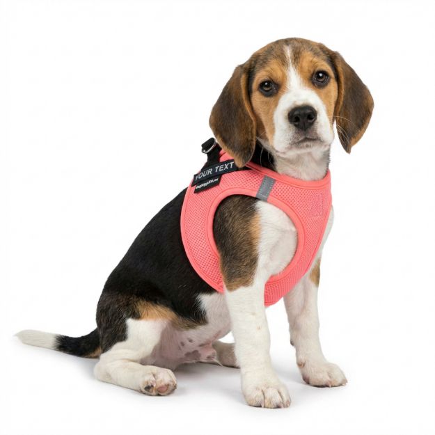 Picture of P24S® SMART Step-In dogharness M + 2 pcs Custom Patches 