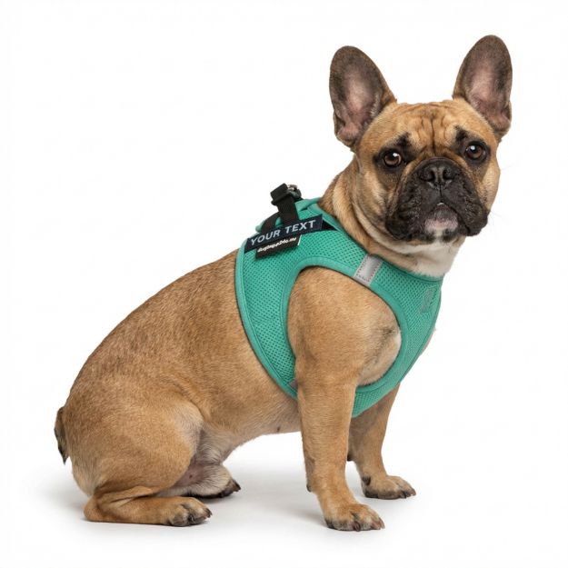 Picture of P24S® SMART Step-In dogharness L + 2 pcs Custom Patches