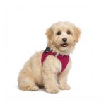 Picture of P24S® SMART Step-In dogharness XS + 2 pcs Custom Patches