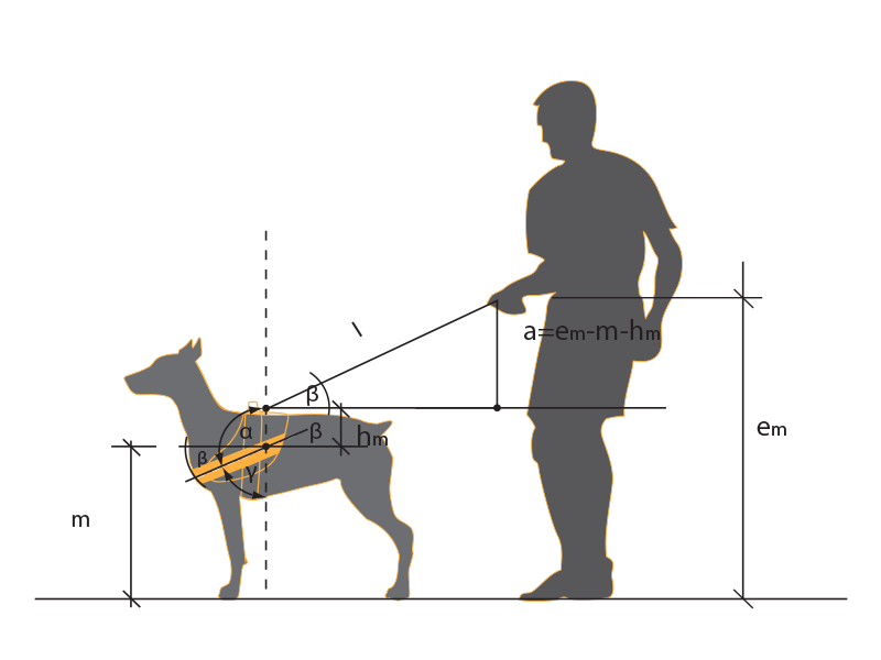 innova dog harnesses