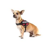 Julius K9 Julius-K9 IDC Powerharness