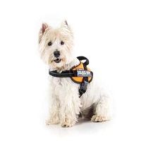 Julius K9 Julius-K9 IDC Powerharness