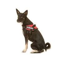 Julius K9 Julius-K9 IDC Powerharness