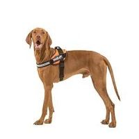 Julius K9 IDC Powerharness size 1/XL