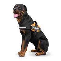 Julius K9 IDC Powerharness size 1/XL