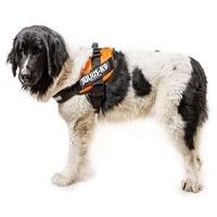 Julius K9 IDC Powerharness size 1/XL