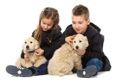 Kids and Dogs - The Beginning of a Beautiful Friendship